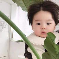 Hoàng Thủy