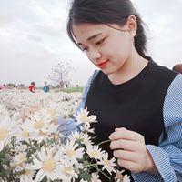 Nguyệt Hải Băng