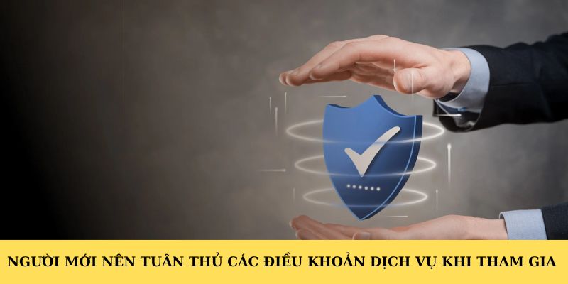 Người mới nên tuân thủ các điều khoản dịch vụ khi tham gia
