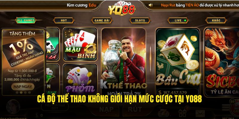 Cá độ thể thao không giới hạn mức cược tại YO88